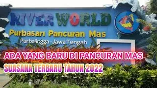 Suasana Terbaru Aquarium Raksasa Tahun 2023 |PURBAYASA