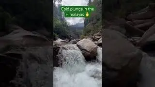 Himalayas cold plunge #travel #hike #adventuretravel #viralvideo #mountains #trendingshorts ❤️