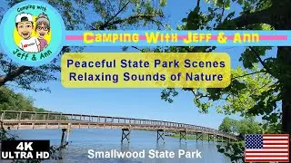 Peaceful Relaxing State Park Scenery Tranquil Sounds of Nature Forest River