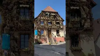 Die Umgebung in Niederwalluf (im Rheingau) 🪚 #travel #rheingau #walluf #niederwalluf