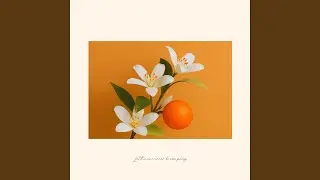 Tea with Citrus at the Balcony