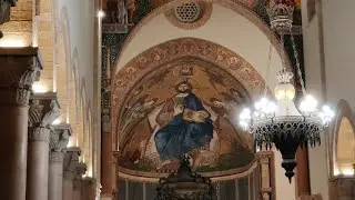 Petali che risplendono