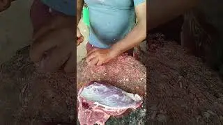 Small Size Meat Cutting #youtubeshorts #trending  #youtubevideo #meat #meatglorybd #foryou #shorts