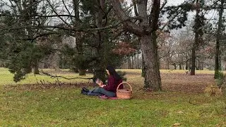 Quiet Reading in the Park | Wild Dark Shore | Piano Ambience