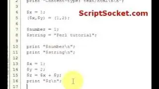 Perl Tutorial 3 - Variables