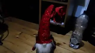 beer, chair and magic dwarf.