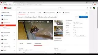 Creative Commons Attribution Licence in YouTube | How and Who can use CC Video