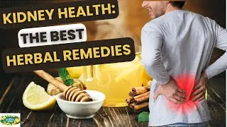 Top Home Remedies for Optimal Kidney Health: Natural Ways to Detox and Strengthen Your Kidneys