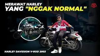WAJIB NONTON! KAMI KEDATANGAN MOGE ISTIMEWA | HARLEY-DAVIDSON V-ROD 2003