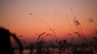 Soothing Piano Music To Help You Heal | 4D Animated Nature Screen | 5 Hours