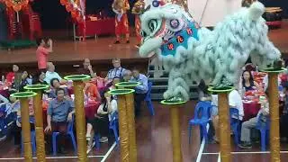 Lion dance team for indonesia