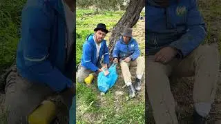 نعنوع قالو العنقود فيه ميترا