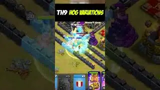 TOP 4 HOG VARIATIONS IN TH9