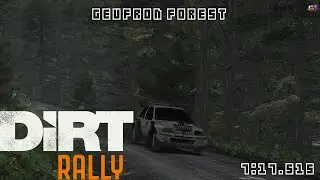 DiRT Rally - Geufron Forest - Peugeot 205 T16 Evo 2 - 7:17.515