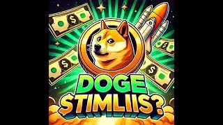 🚀💰 DOGE Stimulus? Is Elon Musk Sending You Free Money? | Bird's Eye View