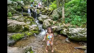 Shenandoah skyline drive | Dark hollow falls Shenandoah | Scenic views of the countryside