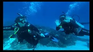 Lord Howe Island scuba diving, Sugarloaf, a rocky outcrop at Admiralty Islands, Lord Howe Island.