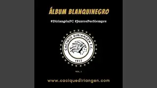 Vamos Campeones