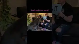 I taught my dog how to 