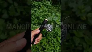 Joran tegek custom Threefish Jianghome 270 set tokos sepat 40L