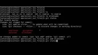 comandi sui files