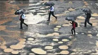 Potholes, Speed Breakers Caused Over 11,000 Deaths Last Year