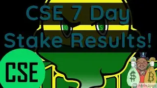 CSE 7 Day Stake Results