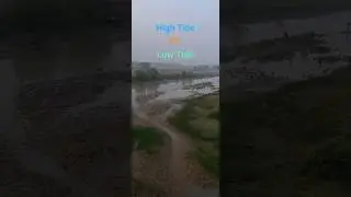 #hightide  vs #lowtide  #geography #education #river #india #odisha This video was shot in low tide