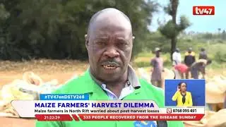 Lack of storage facilities for the generous harvest in the North Rift