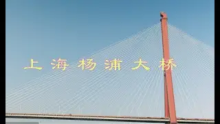 上海杨浦大桥。BMPCC6K  Braw 5:1