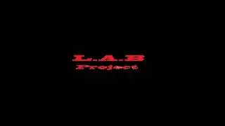 Wake Me Up   Avicii vs  SHM vs  Hardwell LAB Project RE Mashup