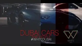 DUBAI Exotic cars ( White Dubai night club ) @ QVAL