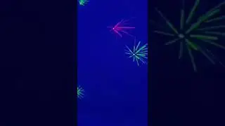 the dancing light #dancing  #dancinglights