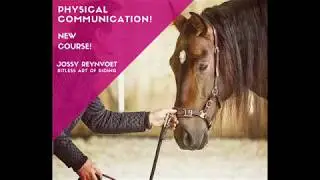 Trailer: Physical communication | JOSSY REYNVOET ACADEMY