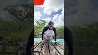 Apparently Booked Front Row at Sea World 🤨