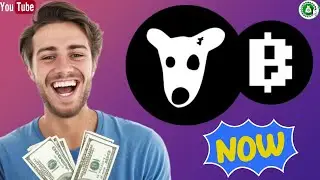 $BLUM fera des millionnaires | $DOGS Minimum RETRAIT