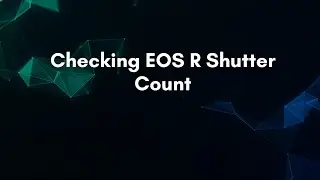 Checking EOS R Shutter Count