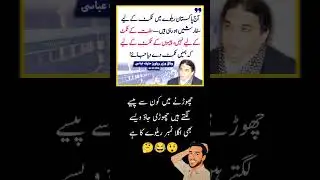 Pakistani funny Politicians | Hanif Abbasi Funny | Pakistan Railway