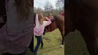 Wrangler Application Submission Riding Video 