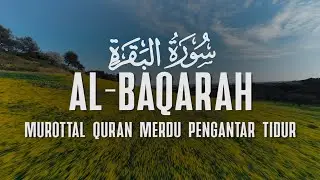 Surah Al Baqarah سورة البقرة With a Beautiful Voice Makes the Heart Calm | Alaa Yasser