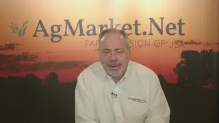 Soybeans Sink on U.S.-China Trade Troubles