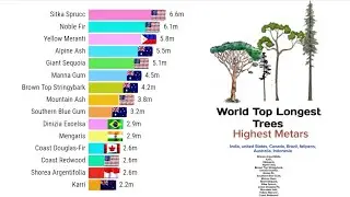 World Top High Trees | Trees Longest | Plans Trees | Long Trees in World |