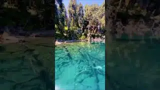 Traful lake, Argentina. #naturelovers #nature #shorts