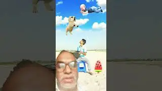 Crying Flying babies catching vs cat & puppy - Funny magic vfx video 😀😀😀