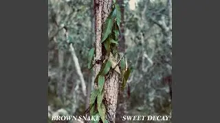 Sweet Decay