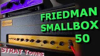 Friedman Smallbox 50 with Strat (no talking)