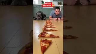 Food Eating Challenge 🤤 I challenge to My dog #eating #eatingshow #ytshorts #shortsfeed