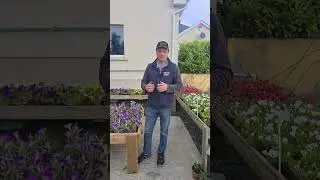 Removing Weeds from Trees/ Hedges @turloughnursery8421