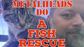 A Fish Rescue