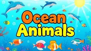 Ocean Animals for Kids | Learn About Sea Creatures with Fun Animation! 🐠🐟🐠🐡🦈🐋🐳🐙🪼